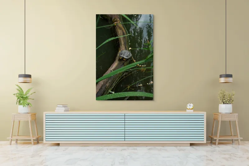 Tablou Canvas, "Broasca țestoasă pe trunchi de copac", Broască, Țestoasă, Lemn, Apă, Frunze, Reflexii, Natură, Verde, Relaxare, 100 x 150 cm – poza 4