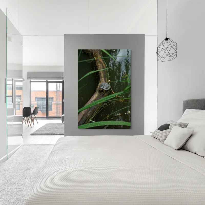 Tablou Canvas, "Broasca țestoasă pe trunchi de copac", Broască, Țestoasă, Lemn, Apă, Frunze, Reflexii, Natură, Verde, Relaxare, 100 x 150 cm – poza 5