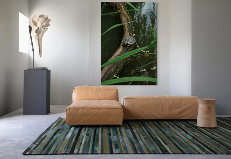 Tablou Canvas, "Broasca țestoasă pe trunchi de copac", Broască, Țestoasă, Lemn, Apă, Frunze, Reflexii, Natură, Verde, Relaxare, 100 x 150 cm – poza 7