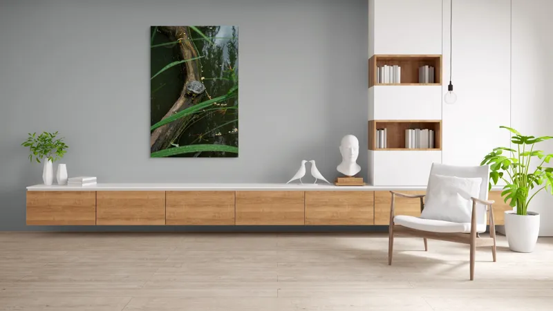 Tablou Canvas, "Broasca țestoasă pe trunchi de copac", Broască, Țestoasă, Lemn, Apă, Frunze, Reflexii, Natură, Verde, Relaxare, 100 x 150 cm – poza 8