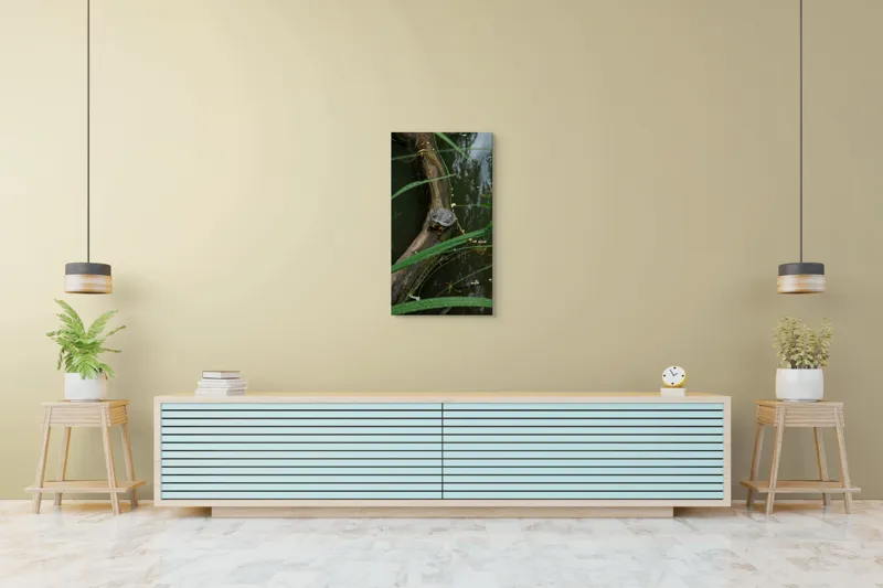 Tablou Canvas, "Broasca țestoasă pe trunchi de copac", Broască, Țestoasă, Lemn, Apă, Frunze, Reflexii, Natură, Verde, Relaxare, 50 x 90 cm – poza 6