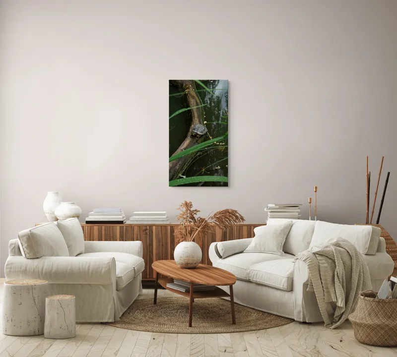 Tablou Canvas, "Broasca țestoasă pe trunchi de copac", Broască, Țestoasă, Lemn, Apă, Frunze, Reflexii, Natură, Verde, Relaxare, 50 x 90 cm – poza 7