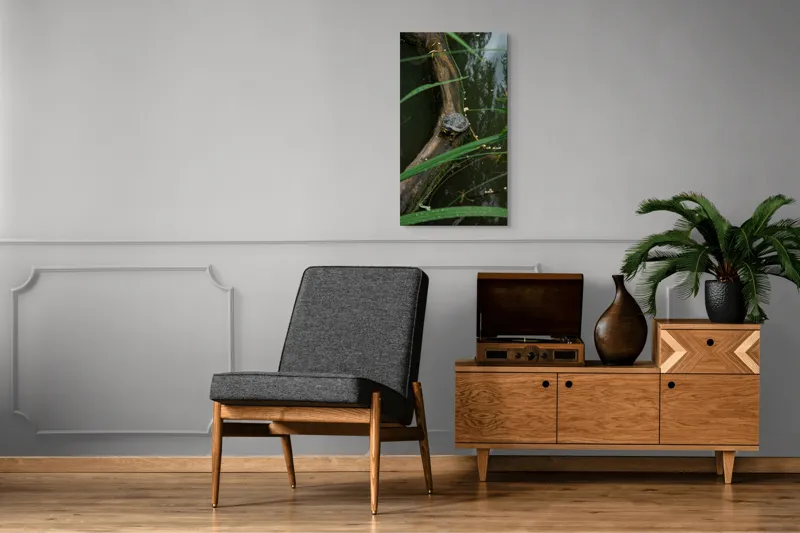 Tablou Canvas, "Broasca țestoasă pe trunchi de copac", Broască, Țestoasă, Lemn, Apă, Frunze, Reflexii, Natură, Verde, Relaxare, 50 x 90 cm – poza 8