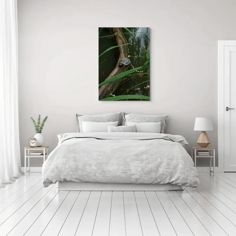 Tablou Canvas, "Broasca țestoasă pe trunchi de copac", Broască, Țestoasă, Lemn, Apă, Frunze, Reflexii, Natură, Verde, Relaxare, 70 x 100 cm – poza 3