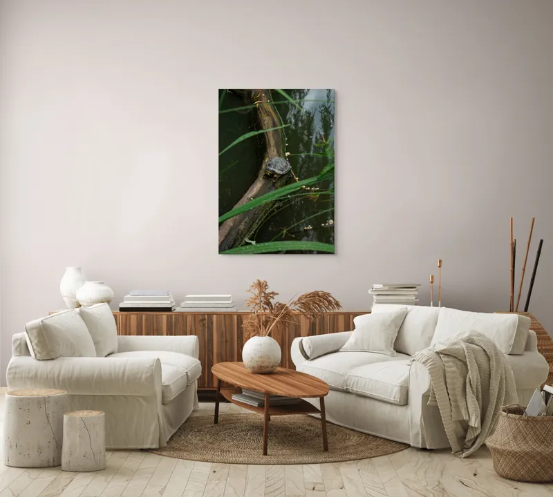 Tablou Canvas, "Broasca țestoasă pe trunchi de copac", Broască, Țestoasă, Lemn, Apă, Frunze, Reflexii, Natură, Verde, Relaxare, 70 x 100 cm – poza 4