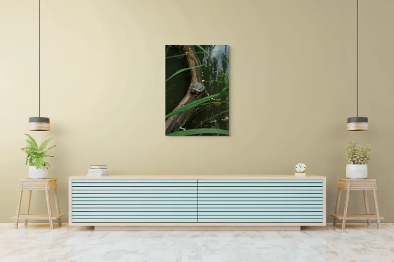 Tablou Canvas, "Broasca țestoasă pe trunchi de copac", Broască, Țestoasă, Lemn, Apă, Frunze, Reflexii, Natură, Verde, Relaxare, 70 x 100 cm – poza 5