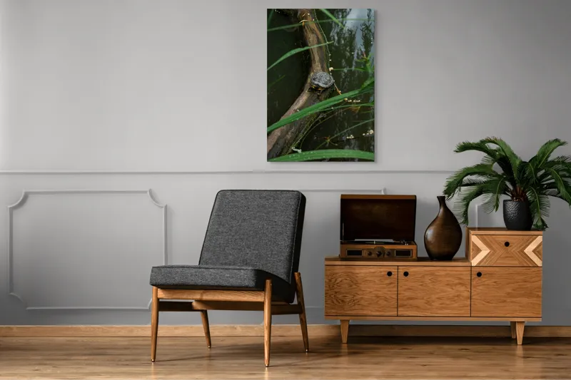 Tablou Canvas, "Broasca țestoasă pe trunchi de copac", Broască, Țestoasă, Lemn, Apă, Frunze, Reflexii, Natură, Verde, Relaxare, 70 x 100 cm – poza 6