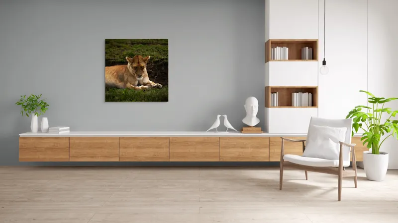 Tablou Canvas, "Leoaica odihnindu-se în savană africană", Leoaică, Odihnă, Iarbă, Serenitate, Natură, 100 x 100 cm – poza 8