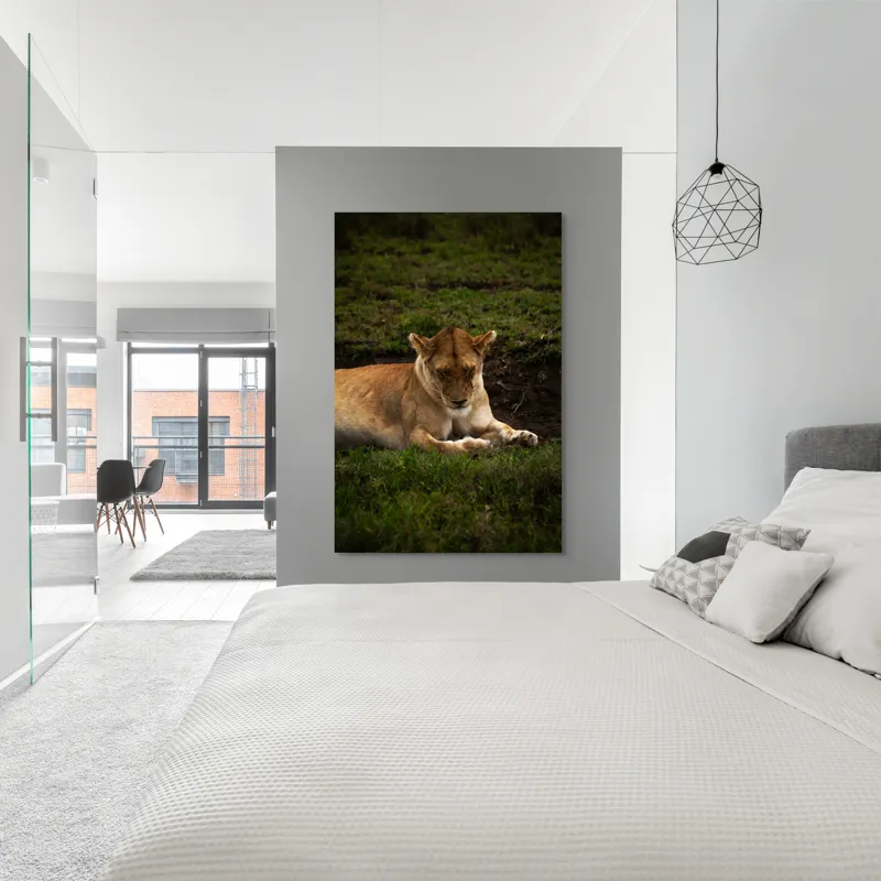 Tablou Canvas, "Leoaica odihnindu-se în savană africană", Leoaică, Odihnă, Iarbă, Serenitate, Natură, 100 x 150 cm – poza 5