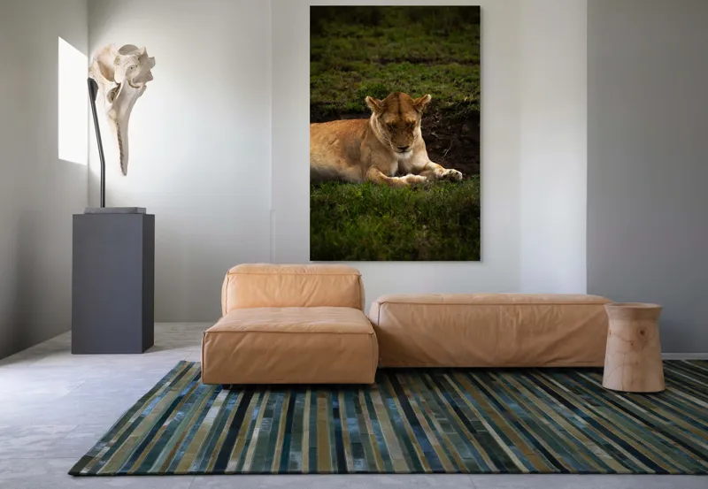 Tablou Canvas, "Leoaica odihnindu-se în savană africană", Leoaică, Odihnă, Iarbă, Serenitate, Natură, 100 x 150 cm – poza 7