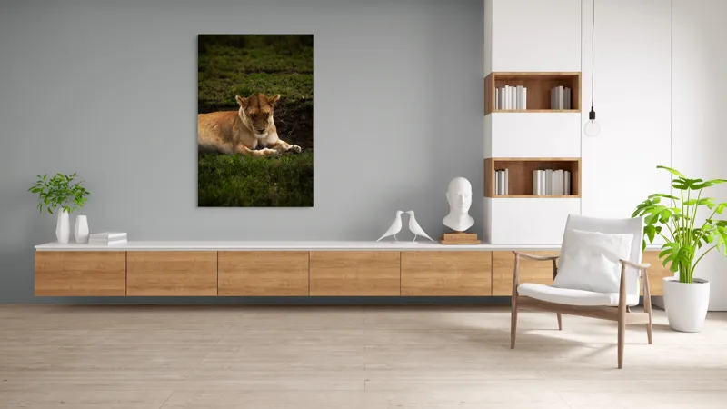 Tablou Canvas, "Leoaica odihnindu-se în savană africană", Leoaică, Odihnă, Iarbă, Serenitate, Natură, 100 x 150 cm – poza 8