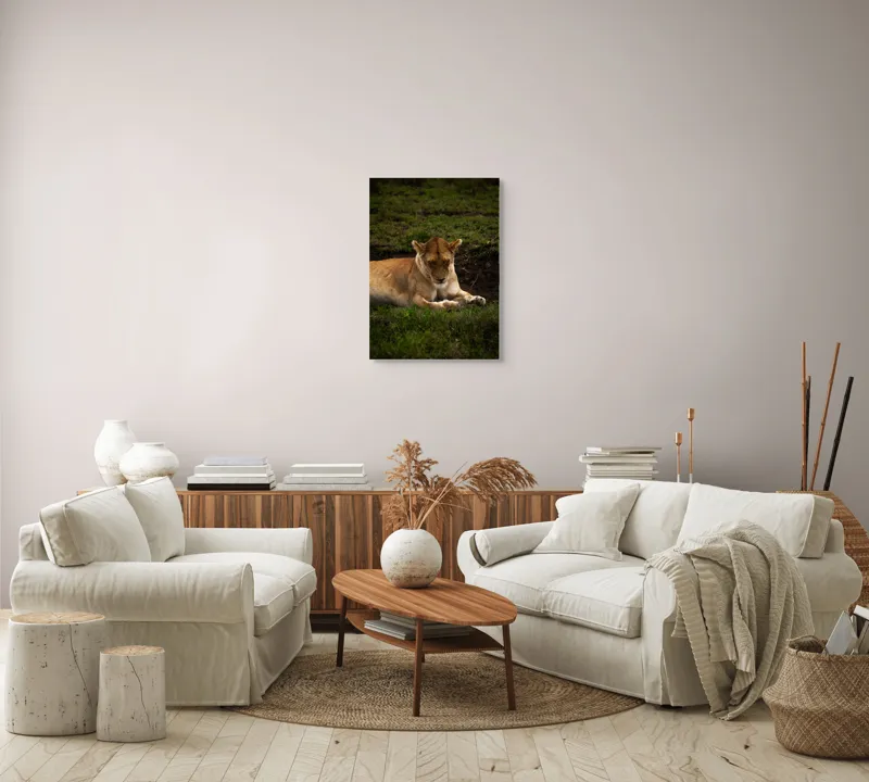 Tablou Canvas, "Leoaica odihnindu-se în savană africană", Leoaică, Odihnă, Iarbă, Serenitate, Natură, 50 x 70 cm – poza 4
