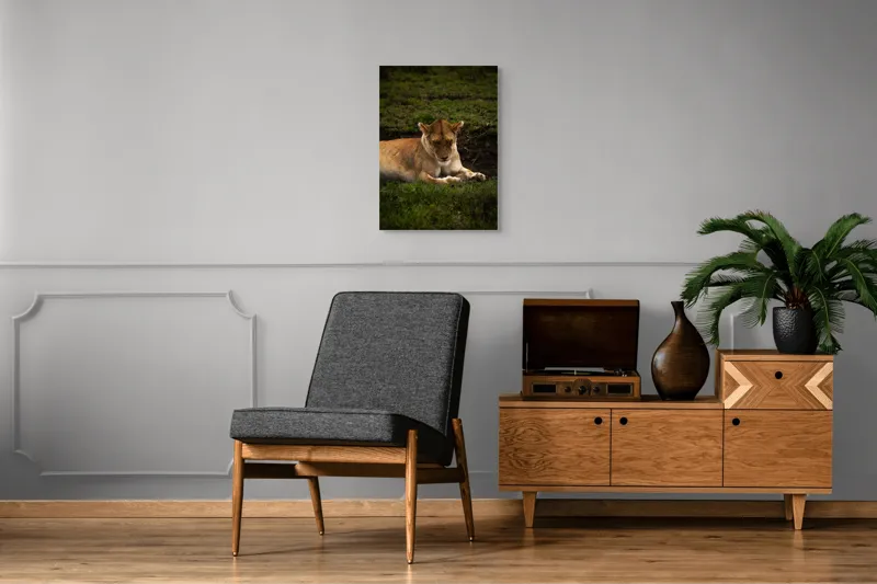 Tablou Canvas, "Leoaica odihnindu-se în savană africană", Leoaică, Odihnă, Iarbă, Serenitate, Natură, 50 x 70 cm – poza 8