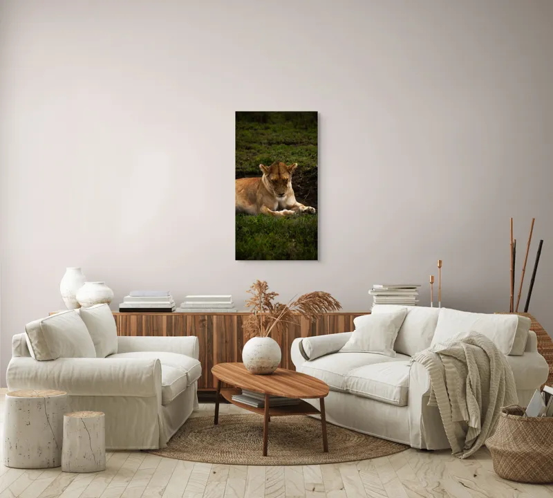 Tablou Canvas, "Leoaica odihnindu-se în savană africană", Leoaică, Odihnă, Iarbă, Serenitate, Natură, 50 x 90 cm – poza 7