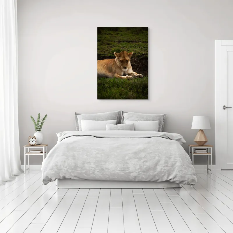 Tablou Canvas, "Leoaica odihnindu-se în savană africană", Leoaică, Odihnă, Iarbă, Serenitate, Natură, 70 x 100 cm – poza 3