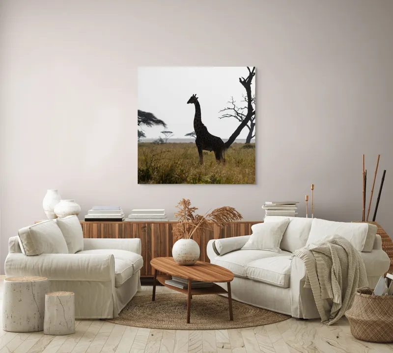 Tablou Canvas, "Girafă în lumină de amurg africană", Giraffă, Siluetă, Savannah, Apus, Copaci, Sălbăticie, Natură, Serengeti, Peisaj, Tranquilitate, 100 x 100 cm – poza 3