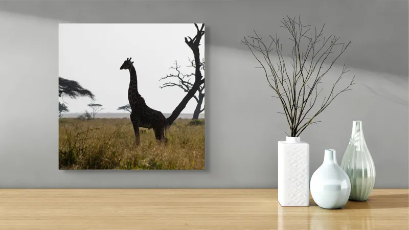 Tablou Canvas, "Girafă în lumină de amurg africană", Giraffă, Siluetă, Savannah, Apus, Copaci, Sălbăticie, Natură, Serengeti, Peisaj, Tranquilitate, 50 x 50 cm – poza 3