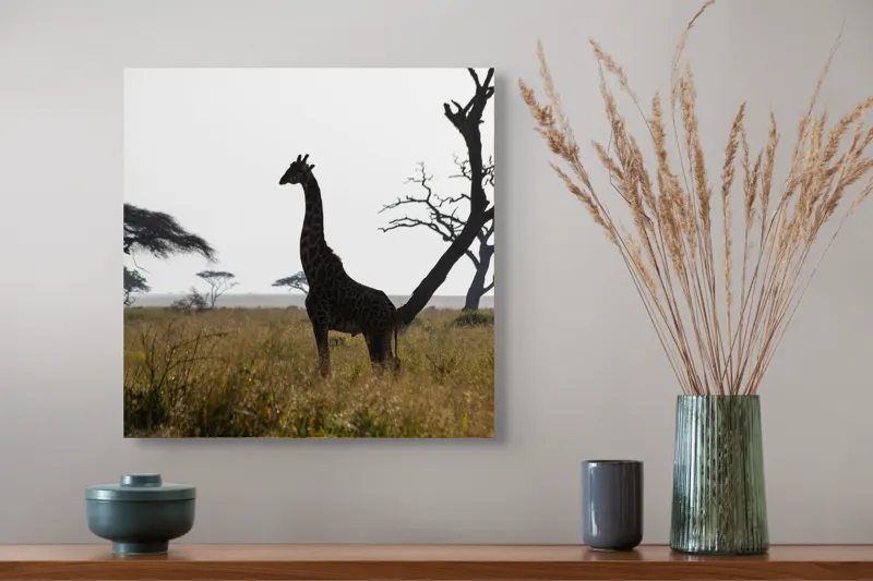 Tablou Canvas, "Girafă în lumină de amurg africană", Giraffă, Siluetă, Savannah, Apus, Copaci, Sălbăticie, Natură, Serengeti, Peisaj, Tranquilitate, 50 x 50 cm – poza 4