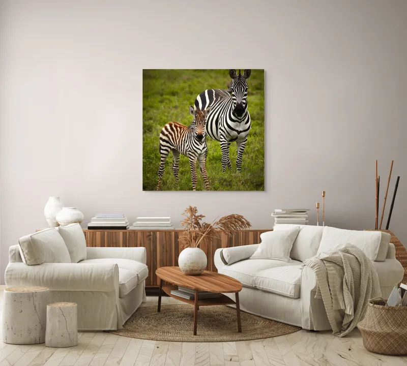 Tablou Canvas, "Zebre în savana verde africană", Zebră, Pui, Iarbă, Dungă, Natură, Mamifer, Safari, Libertate, Prerie, Faună, 100 x 100 cm – poza 3