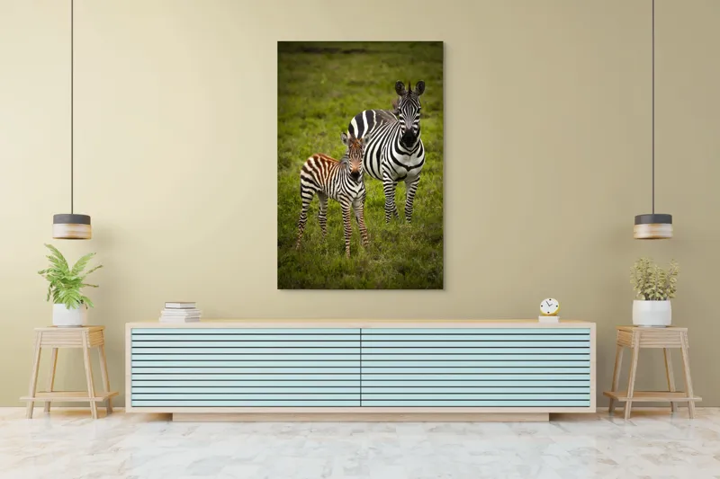 Tablou Canvas, "Zebre în savana verde africană", Zebră, Pui, Iarbă, Dungă, Natură, Mamifer, Safari, Libertate, Prerie, Faună, 100 x 150 cm – poza 4
