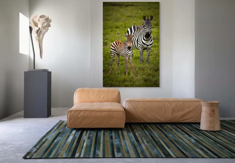 Tablou Canvas, "Zebre în savana verde africană", Zebră, Pui, Iarbă, Dungă, Natură, Mamifer, Safari, Libertate, Prerie, Faună, 100 x 150 cm – poza 7