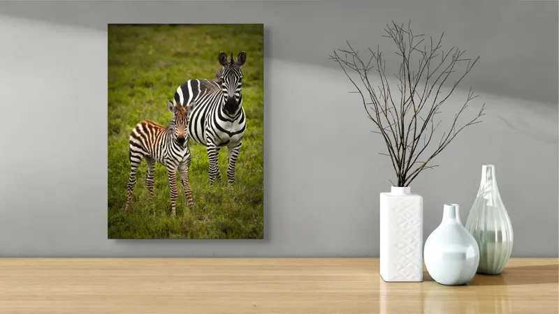 Tablou Canvas, "Zebre în savana verde africană", Zebră, Pui, Iarbă, Dungă, Natură, Mamifer, Safari, Libertate, Prerie, Faună, 39 x 54 cm – poza 4