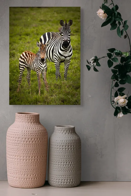 Tablou Canvas, "Zebre în savana verde africană", Zebră, Pui, Iarbă, Dungă, Natură, Mamifer, Safari, Libertate, Prerie, Faună, 39 x 54 cm – poza 6