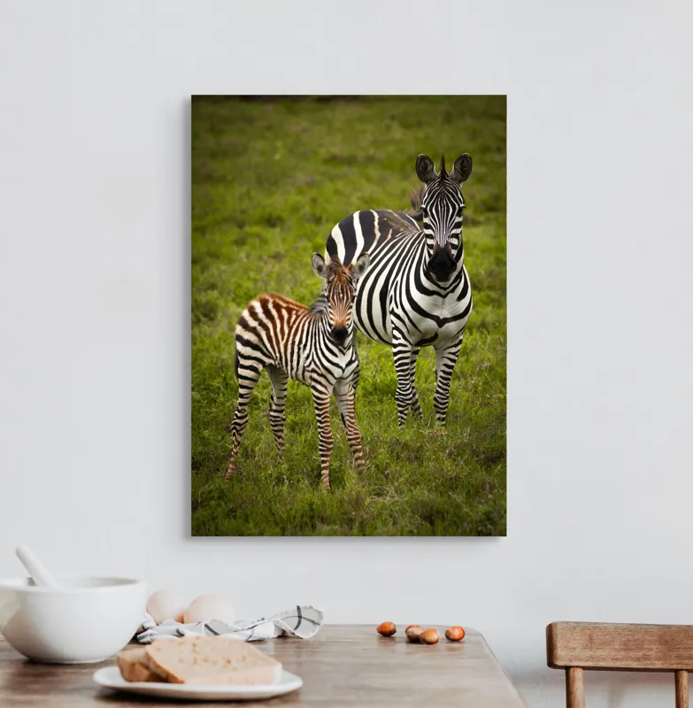 Tablou Canvas, "Zebre în savana verde africană", Zebră, Pui, Iarbă, Dungă, Natură, Mamifer, Safari, Libertate, Prerie, Faună, 50 x 70 cm – poza 3