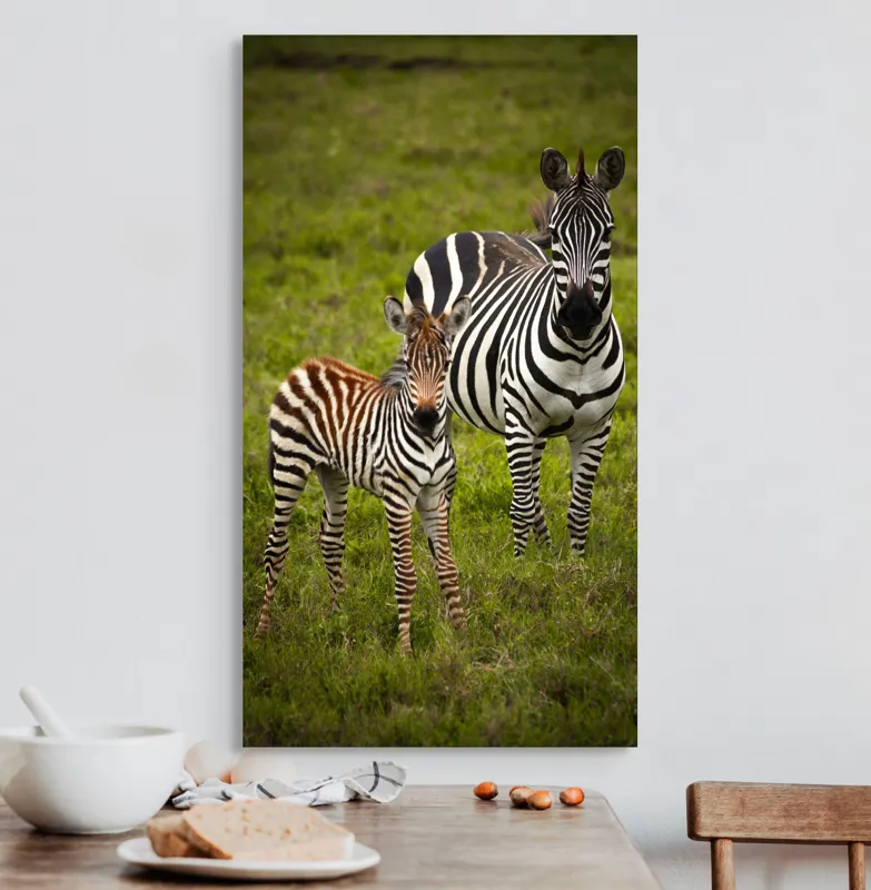Tablou Canvas, "Zebre în savana verde africană", Zebră, Pui, Iarbă, Dungă, Natură, Mamifer, Safari, Libertate, Prerie, Faună, 50 x 90 cm – poza 3