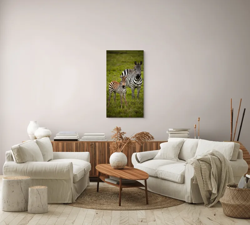 Tablou Canvas, "Zebre în savana verde africană", Zebră, Pui, Iarbă, Dungă, Natură, Mamifer, Safari, Libertate, Prerie, Faună, 50 x 90 cm – poza 7
