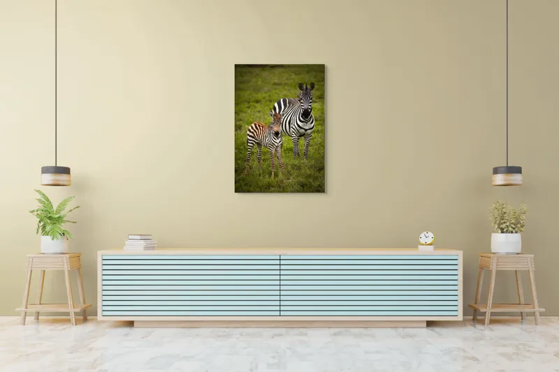 Tablou Canvas, "Zebre în savana verde africană", Zebră, Pui, Iarbă, Dungă, Natură, Mamifer, Safari, Libertate, Prerie, Faună, 70 x 100 cm – poza 5