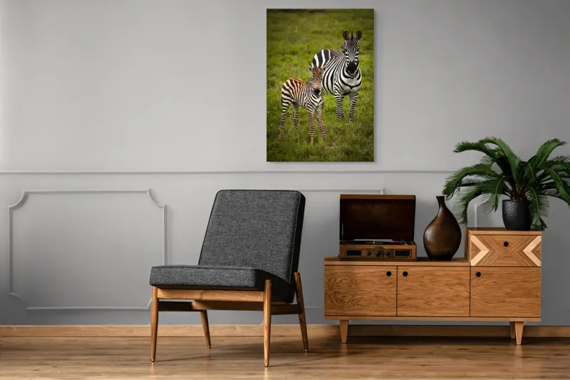 Tablou Canvas, "Zebre în savana verde africană", Zebră, Pui, Iarbă, Dungă, Natură, Mamifer, Safari, Libertate, Prerie, Faună, 70 x 100 cm – poza 6