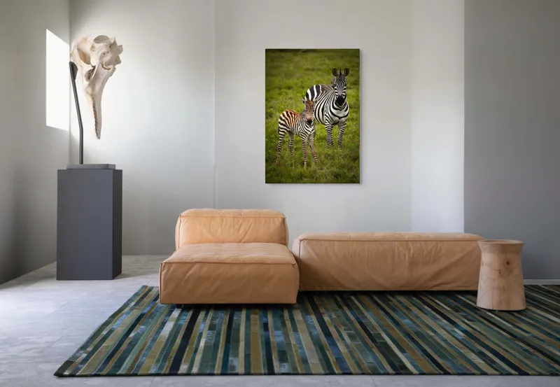 Tablou Canvas, "Zebre în savana verde africană", Zebră, Pui, Iarbă, Dungă, Natură, Mamifer, Safari, Libertate, Prerie, Faună, 70 x 100 cm – poza 7
