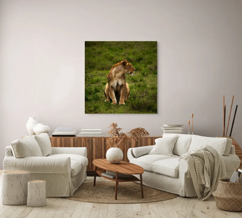 Tablou Canvas, "Leoaica în câmpie verde luxuriantă", Leoaică, Prerie, Verdeață, Observare, Natură, Sălbăticie, Relaxare, Concentrare., 100 x 100 cm – poza 3