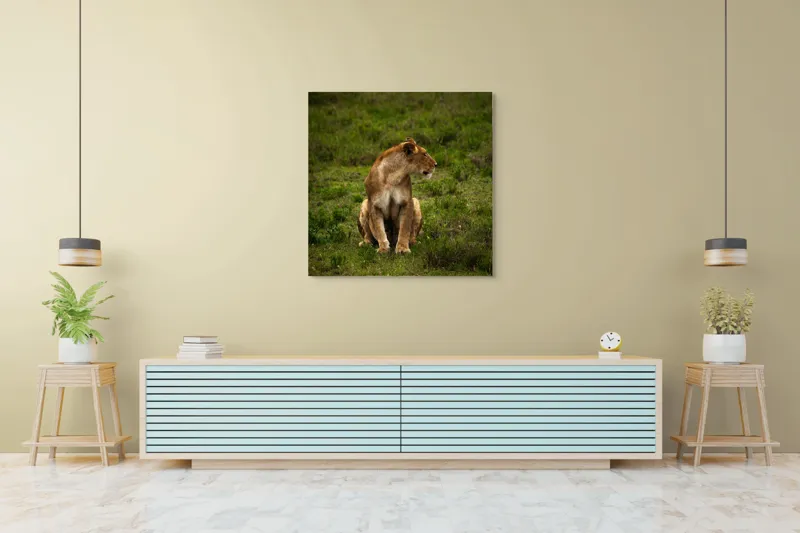 Tablou Canvas, "Leoaica în câmpie verde luxuriantă", Leoaică, Prerie, Verdeață, Observare, Natură, Sălbăticie, Relaxare, Concentrare., 100 x 100 cm – poza 5