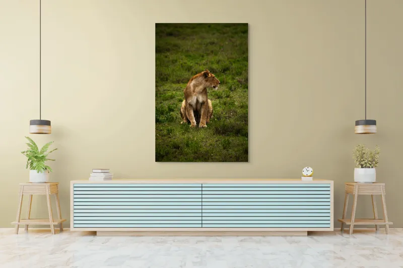 Tablou Canvas, "Leoaica în câmpie verde luxuriantă", Leoaică, Prerie, Verdeață, Observare, Natură, Sălbăticie, Relaxare, Concentrare., 100 x 150 cm – poza 4