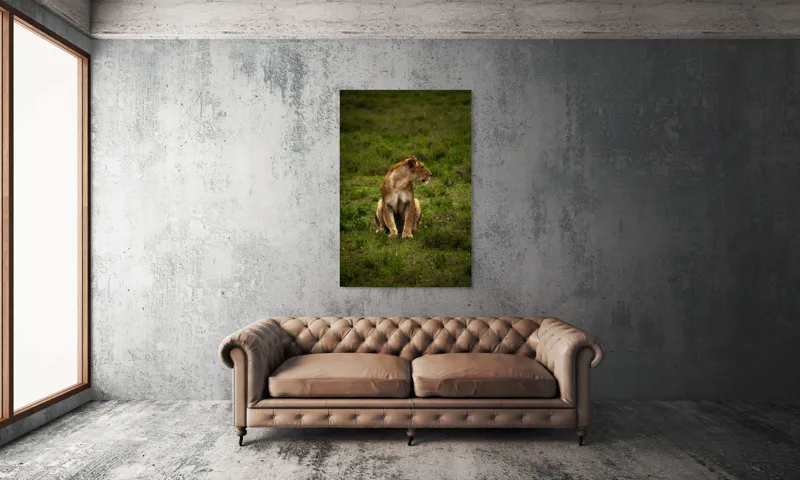 Tablou Canvas, "Leoaica în câmpie verde luxuriantă", Leoaică, Prerie, Verdeață, Observare, Natură, Sălbăticie, Relaxare, Concentrare., 100 x 150 cm – poza 6