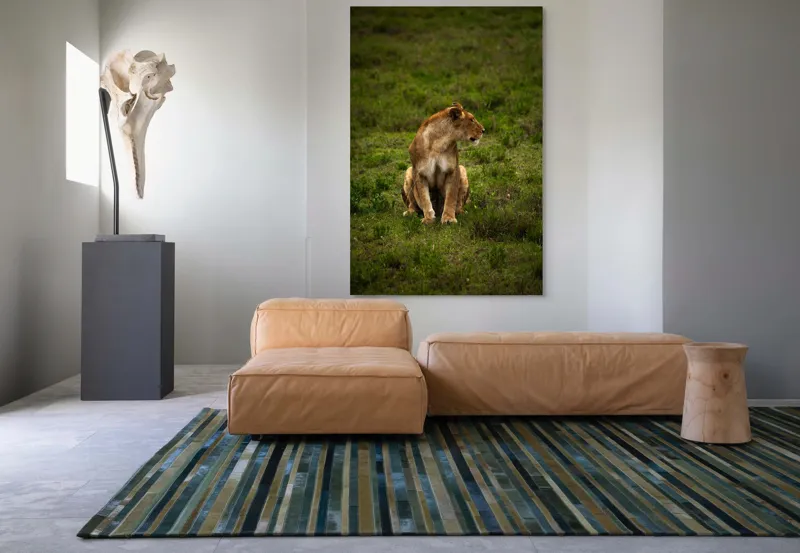 Tablou Canvas, "Leoaica în câmpie verde luxuriantă", Leoaică, Prerie, Verdeață, Observare, Natură, Sălbăticie, Relaxare, Concentrare., 100 x 150 cm – poza 7