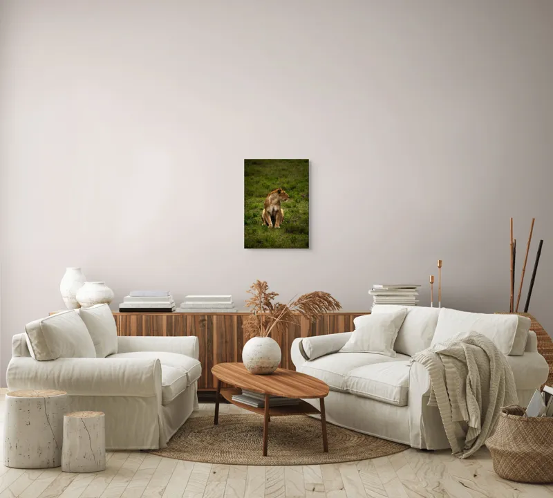 Tablou Canvas, "Leoaica în câmpie verde luxuriantă", Leoaică, Prerie, Verdeață, Observare, Natură, Sălbăticie, Relaxare, Concentrare., 39 x 54 cm – poza 5