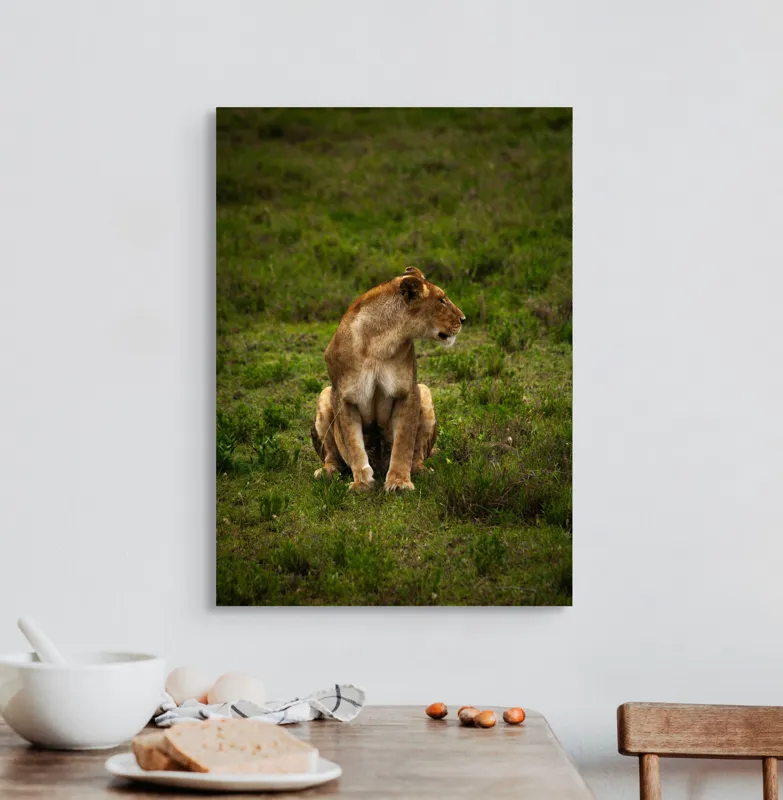 Tablou Canvas, "Leoaica în câmpie verde luxuriantă", Leoaică, Prerie, Verdeață, Observare, Natură, Sălbăticie, Relaxare, Concentrare., 50 x 70 cm – poza 3