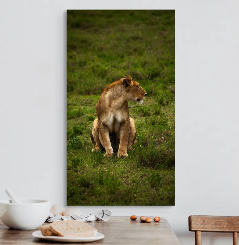 Tablou Canvas, "Leoaica în câmpie verde luxuriantă", Leoaică, Prerie, Verdeață, Observare, Natură, Sălbăticie, Relaxare, Concentrare., 50 x 90 cm – poza 3