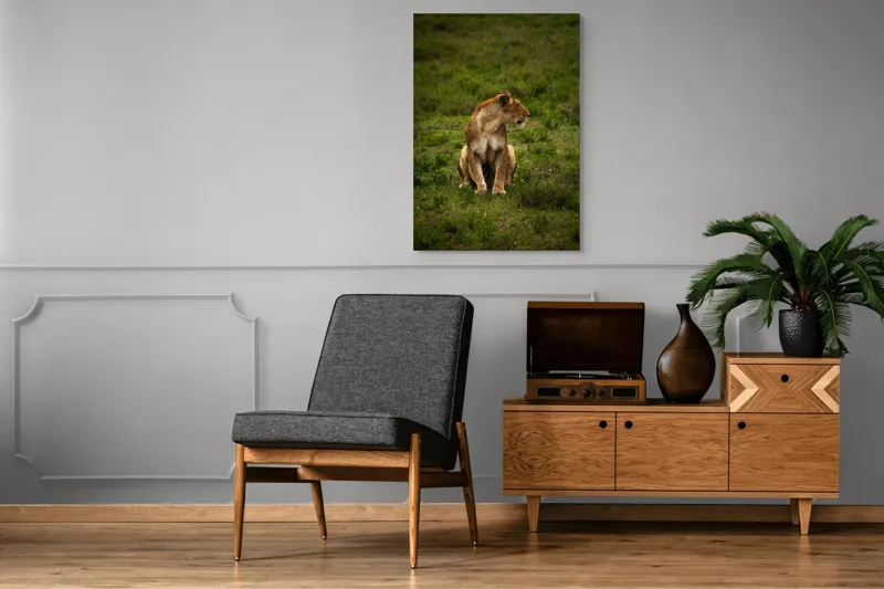 Tablou Canvas, "Leoaica în câmpie verde luxuriantă", Leoaică, Prerie, Verdeață, Observare, Natură, Sălbăticie, Relaxare, Concentrare., 70 x 100 cm – poza 6