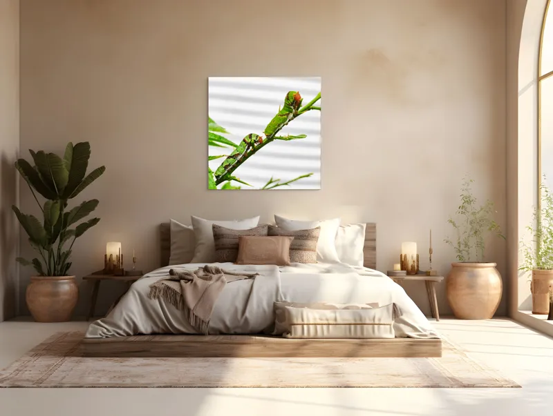 Tablou Canvas, "Omizi verzi pe ramură tânără", Omizi, Verde, Frunză, Ramură, Natură, Detalii, Textură, Gânganie, Antene, Curiozitate, 100 x 100 cm – poza 4