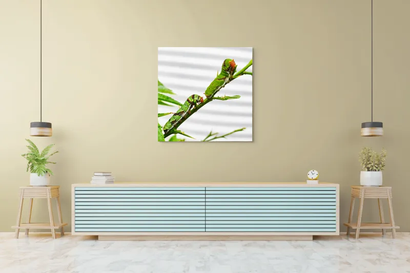 Tablou Canvas, "Omizi verzi pe ramură tânără", Omizi, Verde, Frunză, Ramură, Natură, Detalii, Textură, Gânganie, Antene, Curiozitate, 100 x 100 cm – poza 5