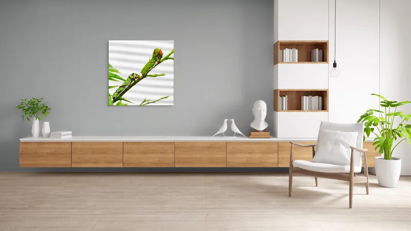 Tablou Canvas, "Omizi verzi pe ramură tânără", Omizi, Verde, Frunză, Ramură, Natură, Detalii, Textură, Gânganie, Antene, Curiozitate, 100 x 100 cm – poza 8