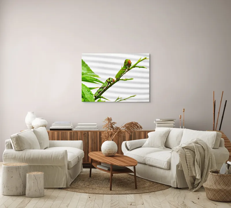 Tablou Canvas, "Omizi verzi pe ramură tânără", Omizi, Verde, Frunză, Ramură, Natură, Detalii, Textură, Gânganie, Antene, Curiozitate, 100 x 70 cm – poza 3