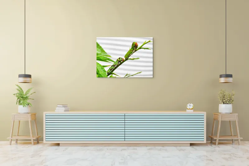 Tablou Canvas, "Omizi verzi pe ramură tânără", Omizi, Verde, Frunză, Ramură, Natură, Detalii, Textură, Gânganie, Antene, Curiozitate, 100 x 70 cm – poza 4