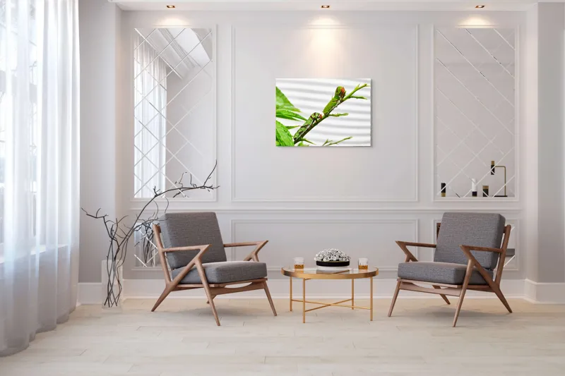 Tablou Canvas, "Omizi verzi pe ramură tânără", Omizi, Verde, Frunză, Ramură, Natură, Detalii, Textură, Gânganie, Antene, Curiozitate, 100 x 70 cm – poza 5