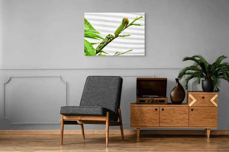 Tablou Canvas, "Omizi verzi pe ramură tânără", Omizi, Verde, Frunză, Ramură, Natură, Detalii, Textură, Gânganie, Antene, Curiozitate, 100 x 70 cm – poza 8
