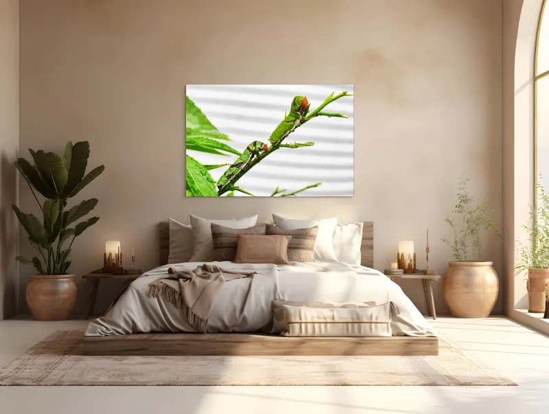 Tablou Canvas, "Omizi verzi pe ramură tânără", Omizi, Verde, Frunză, Ramură, Natură, Detalii, Textură, Gânganie, Antene, Curiozitate, 150 x 100 cm – poza 4